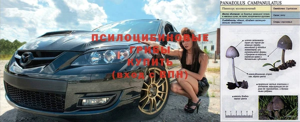 мескалин Протвино