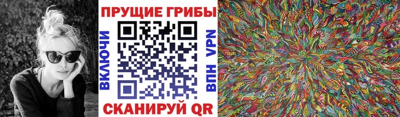 Купить закладки  Люберцы  Псилоцибиновые грибы Psilocybe 